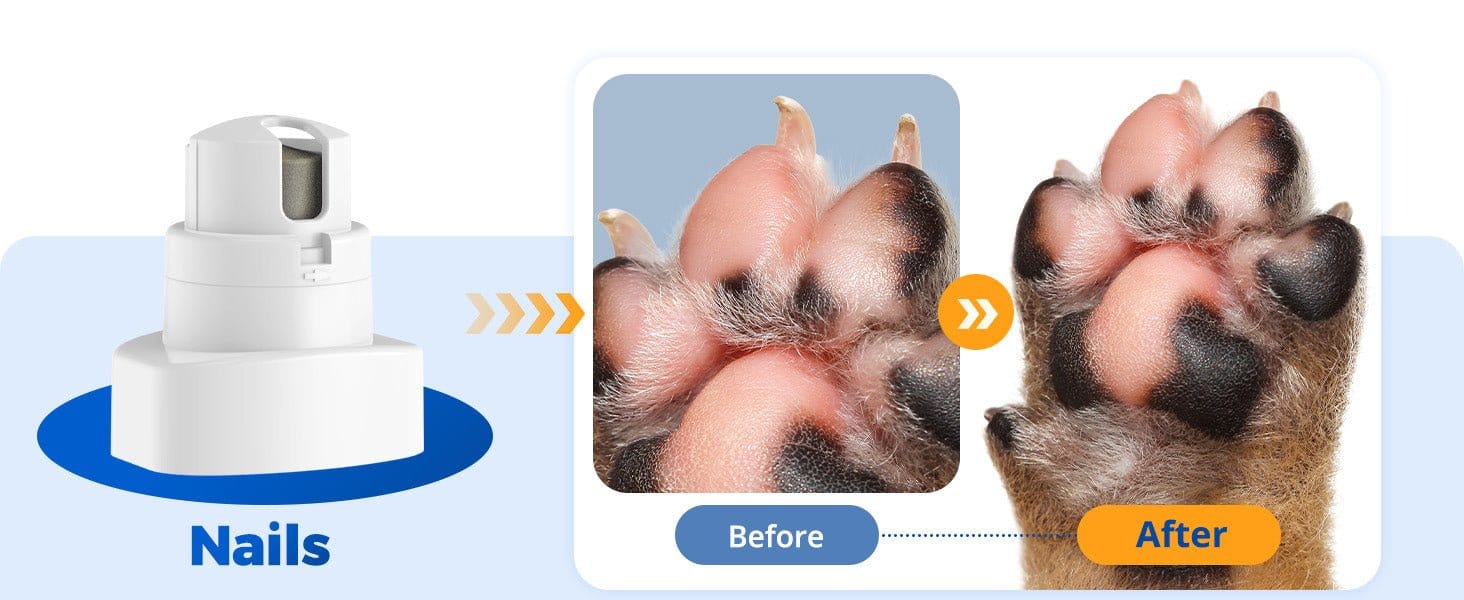 Design Chicken