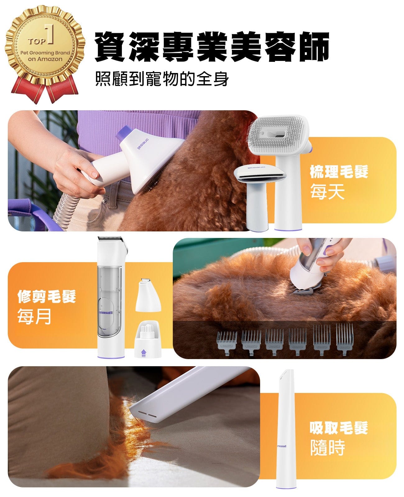 Design Chicken Limited