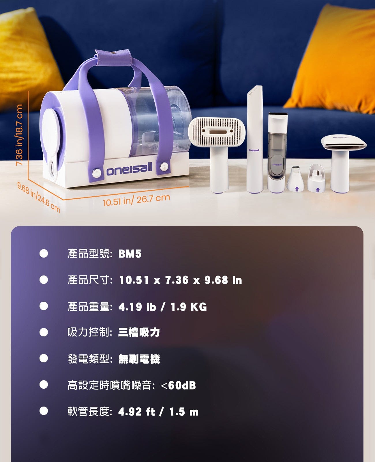 Design Chicken Limited
