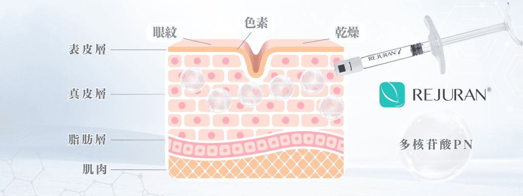 Rejuran麗珠蘭白盒
