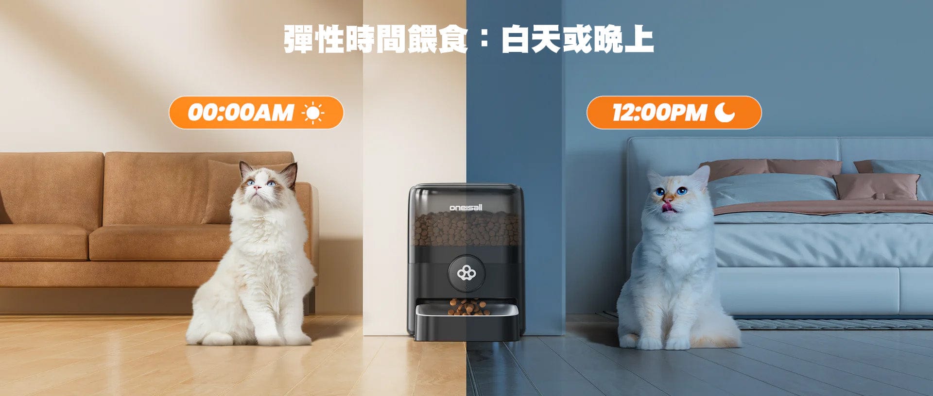 Design Chicken創意購物平台