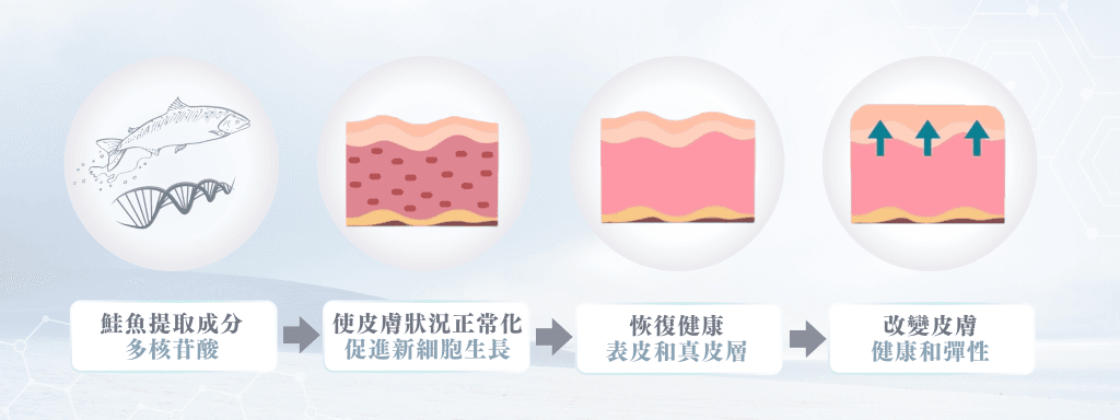 Rejuran麗珠蘭白盒