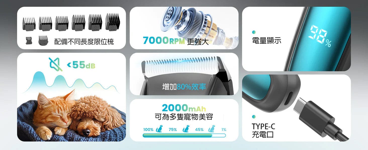 Design Chicken創意購物平台