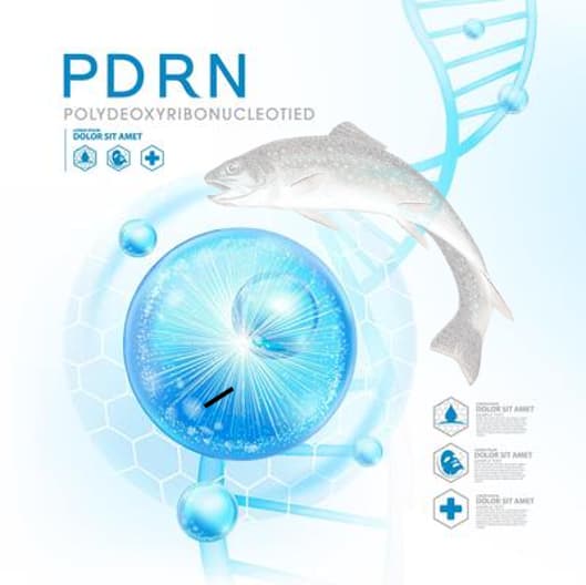 麗珠蘭取自鮭魚的PDRN片段 麗珠蘭取自鮭魚的PDRN片段