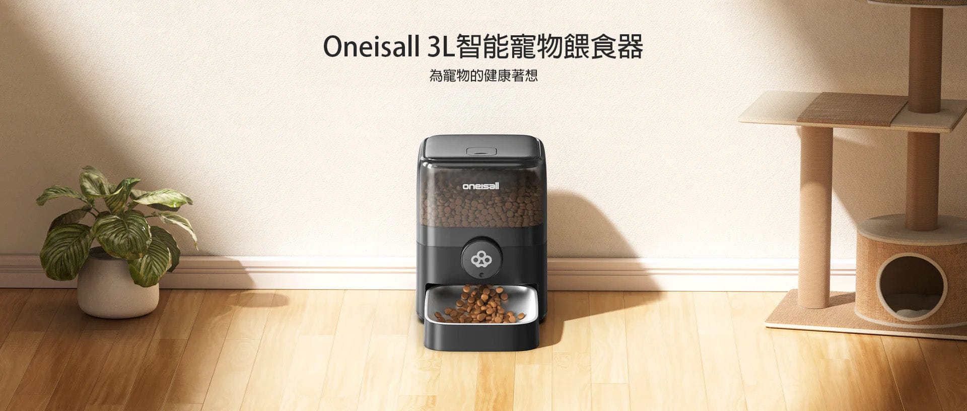Design Chicken創意購物平台