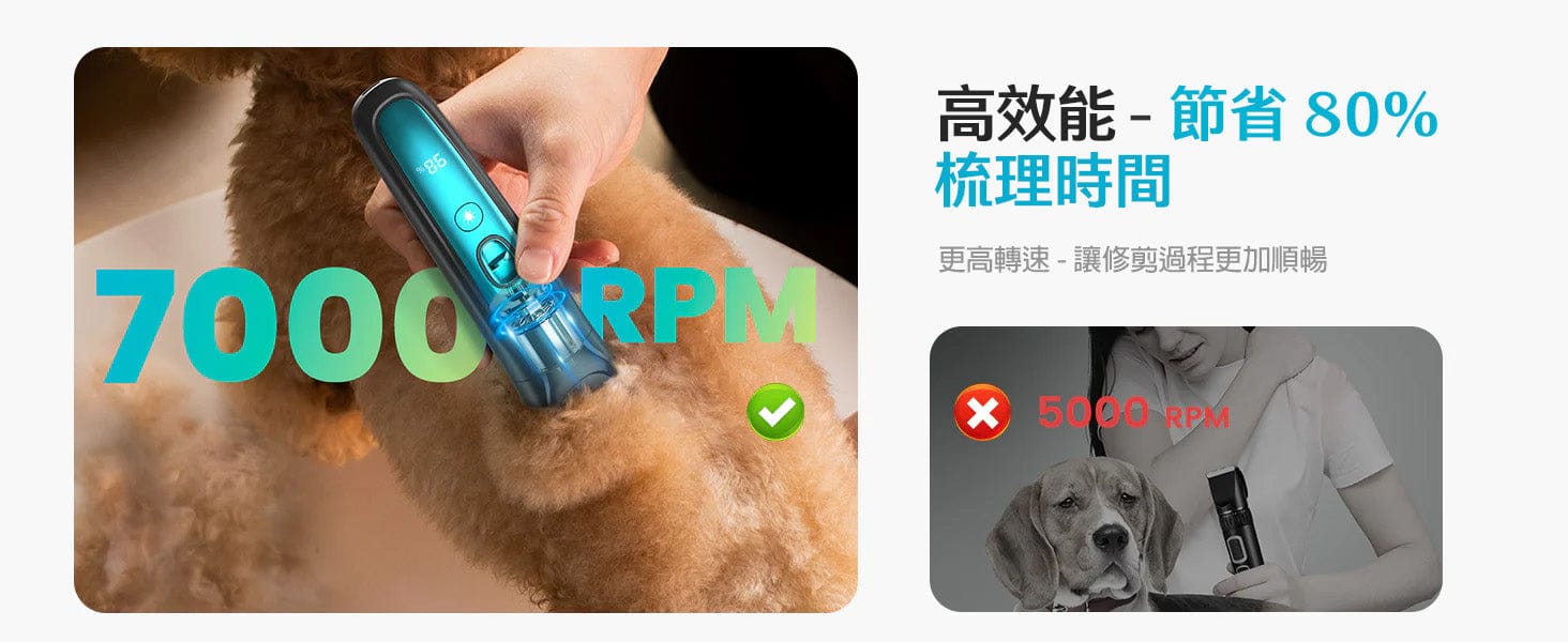 Design Chicken創意購物平台