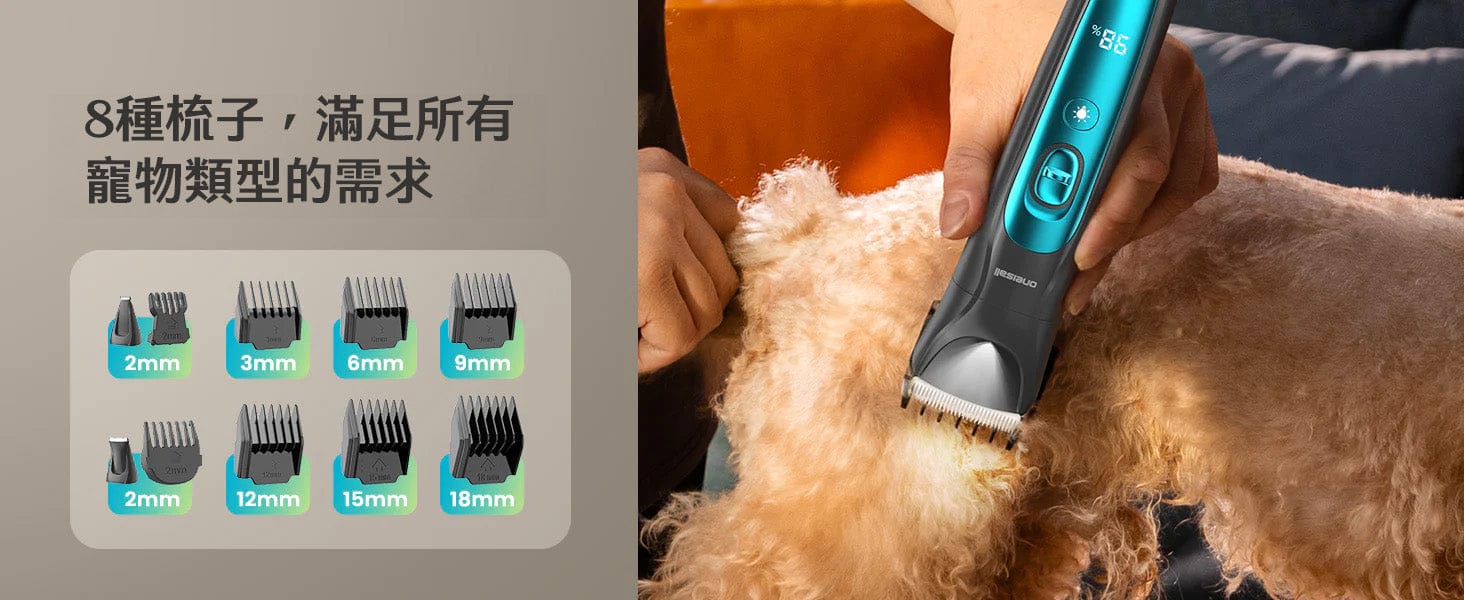 Design Chicken創意購物平台