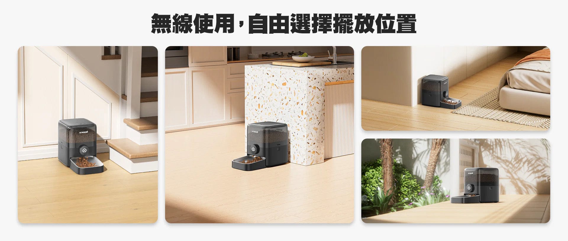 Design Chicken創意購物平台