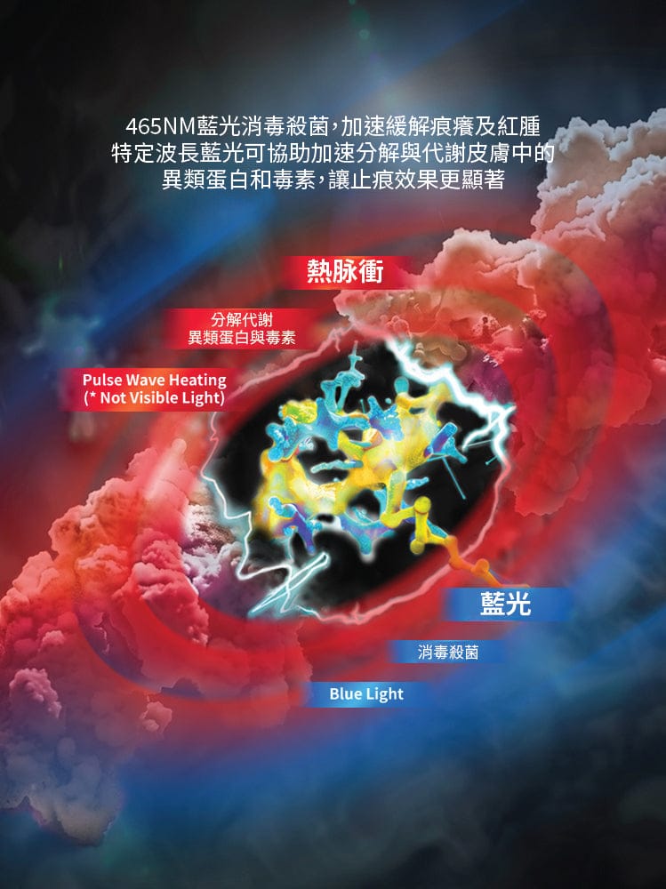 Design Chicken創意購物平台