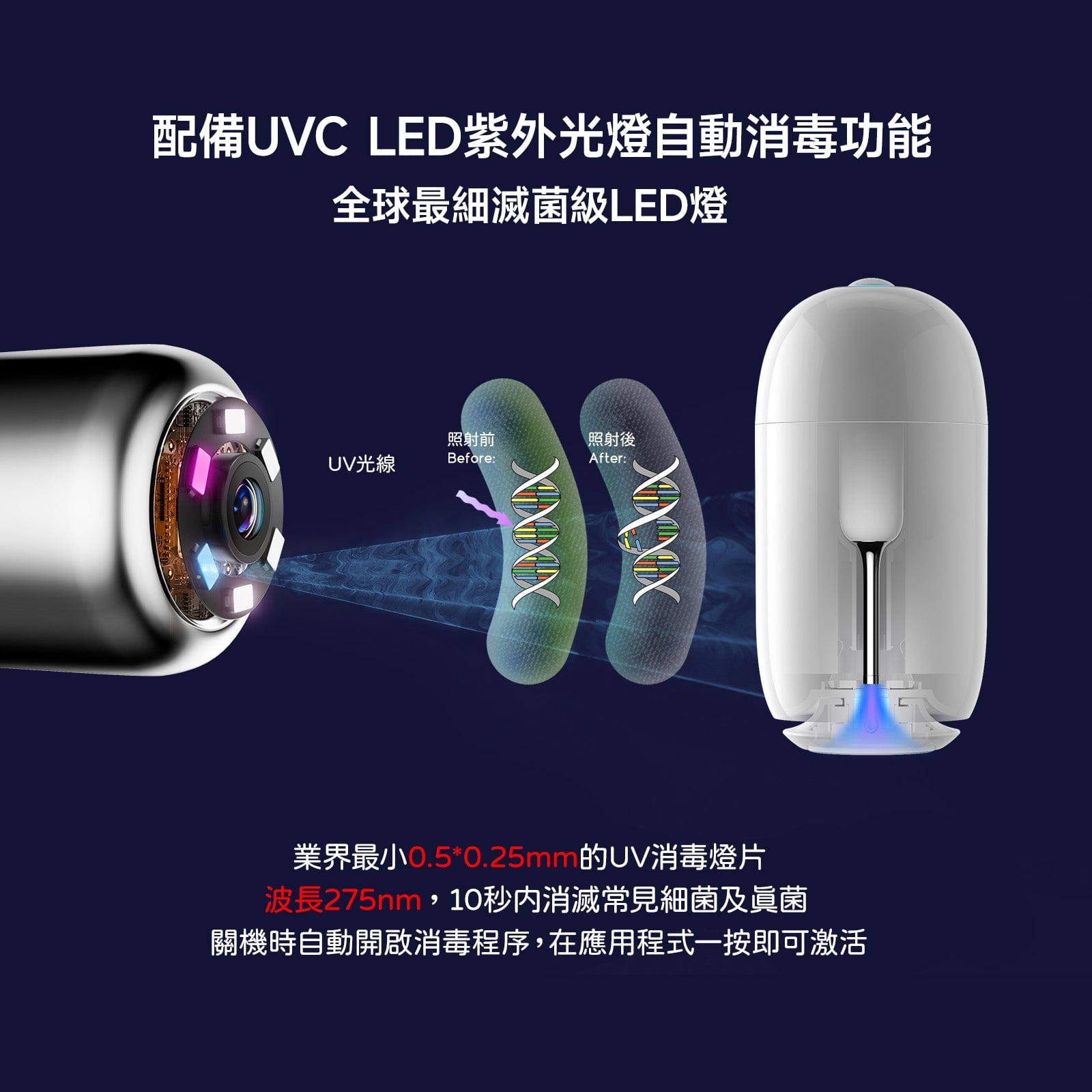 Design Chicken創意購物平台