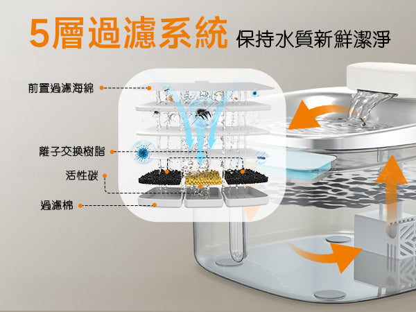 Design Chicken創意購物平台