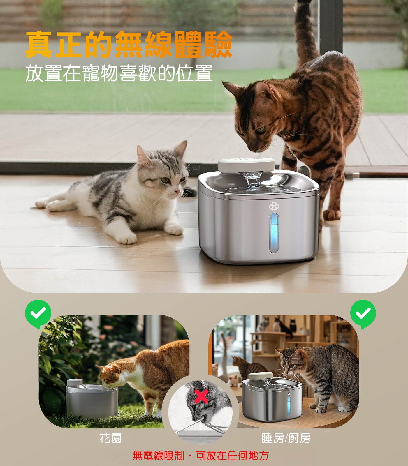 Design Chicken創意購物平台