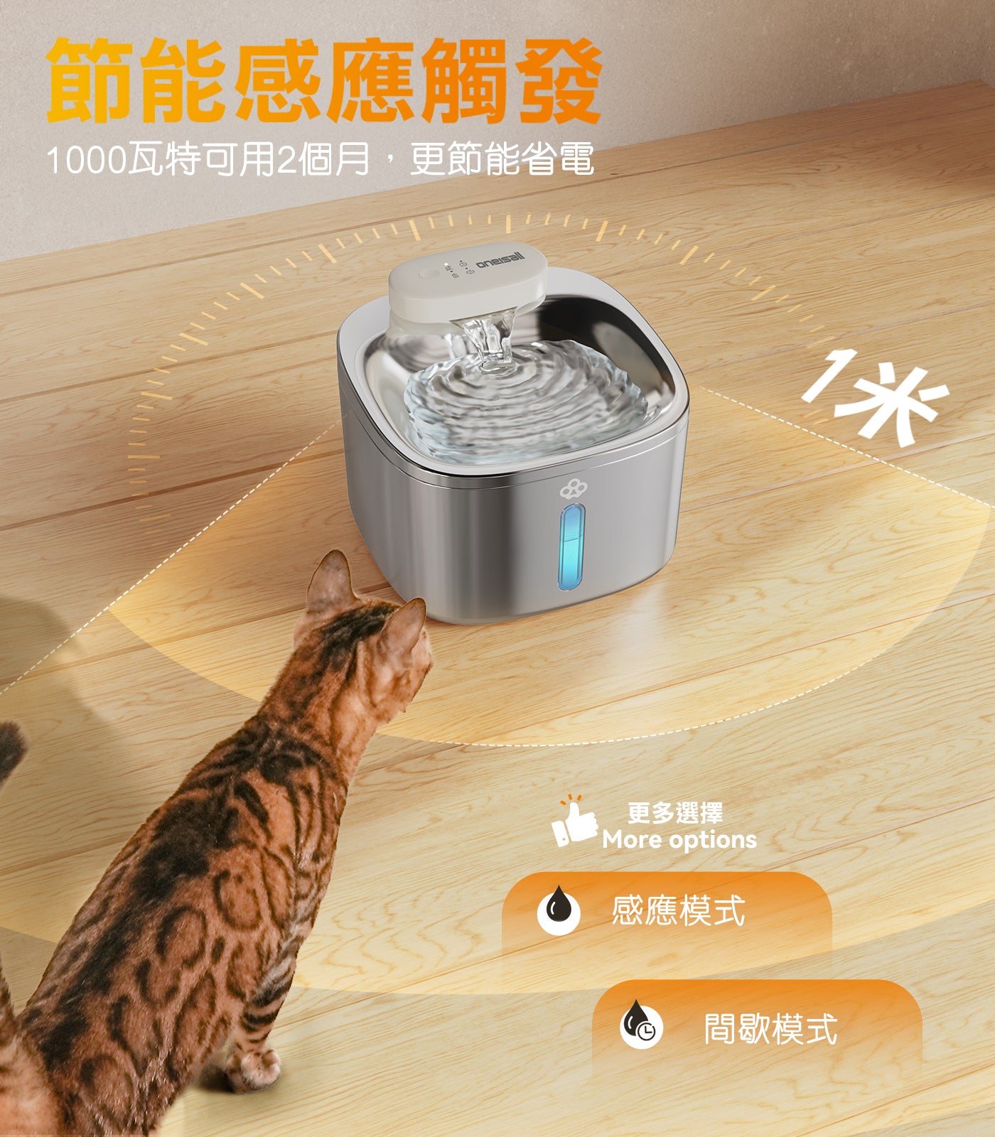 Design Chicken創意購物平台