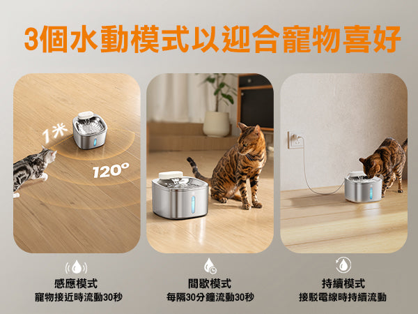 Design Chicken創意購物平台