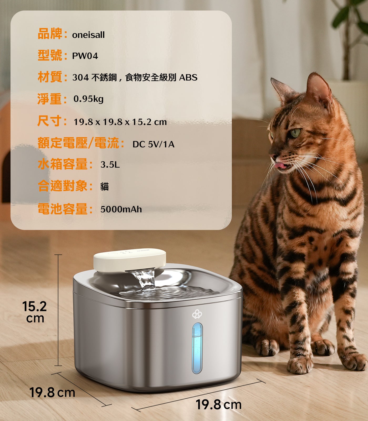 Design Chicken創意購物平台