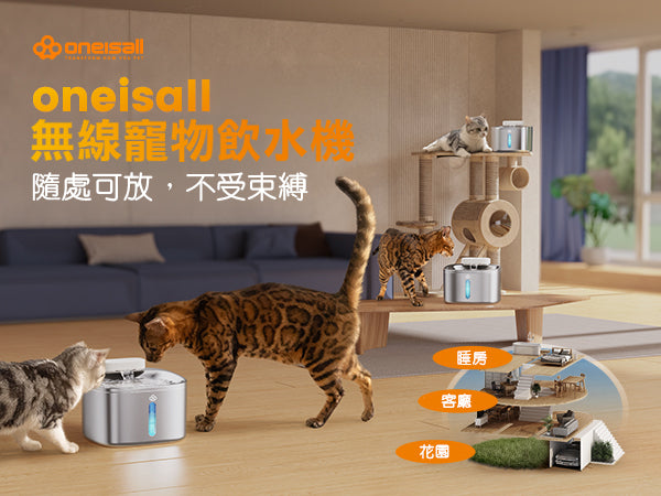 Design Chicken創意購物平台