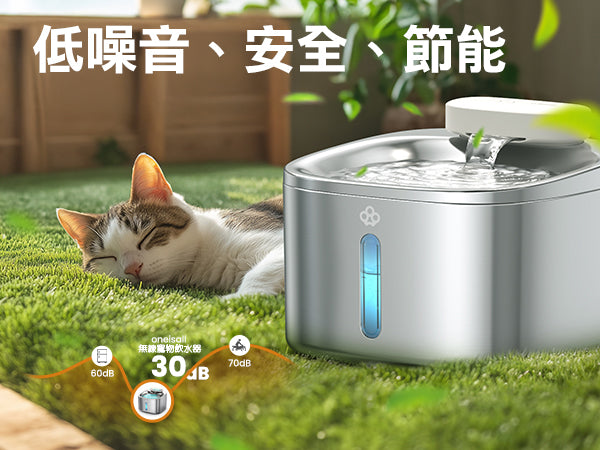 Design Chicken創意購物平台