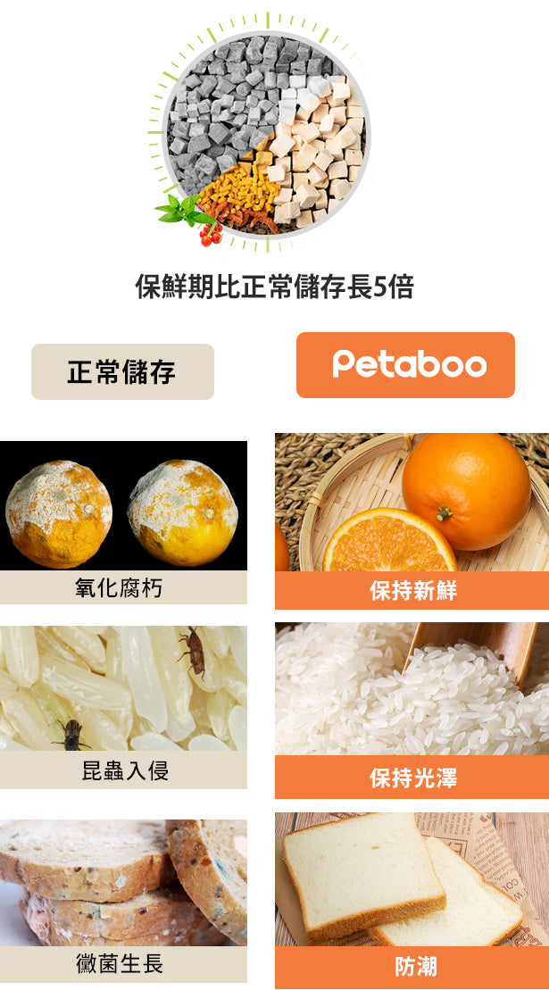 Design Chicken創意購物平台