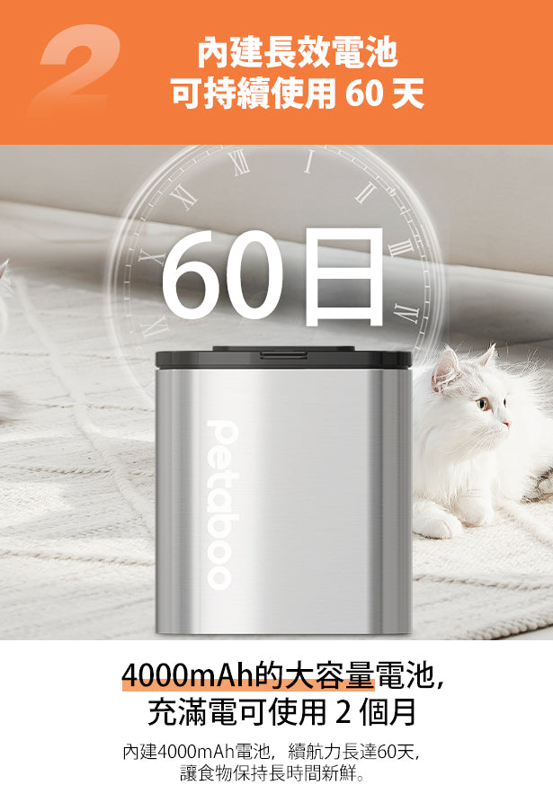 Design Chicken創意購物平台