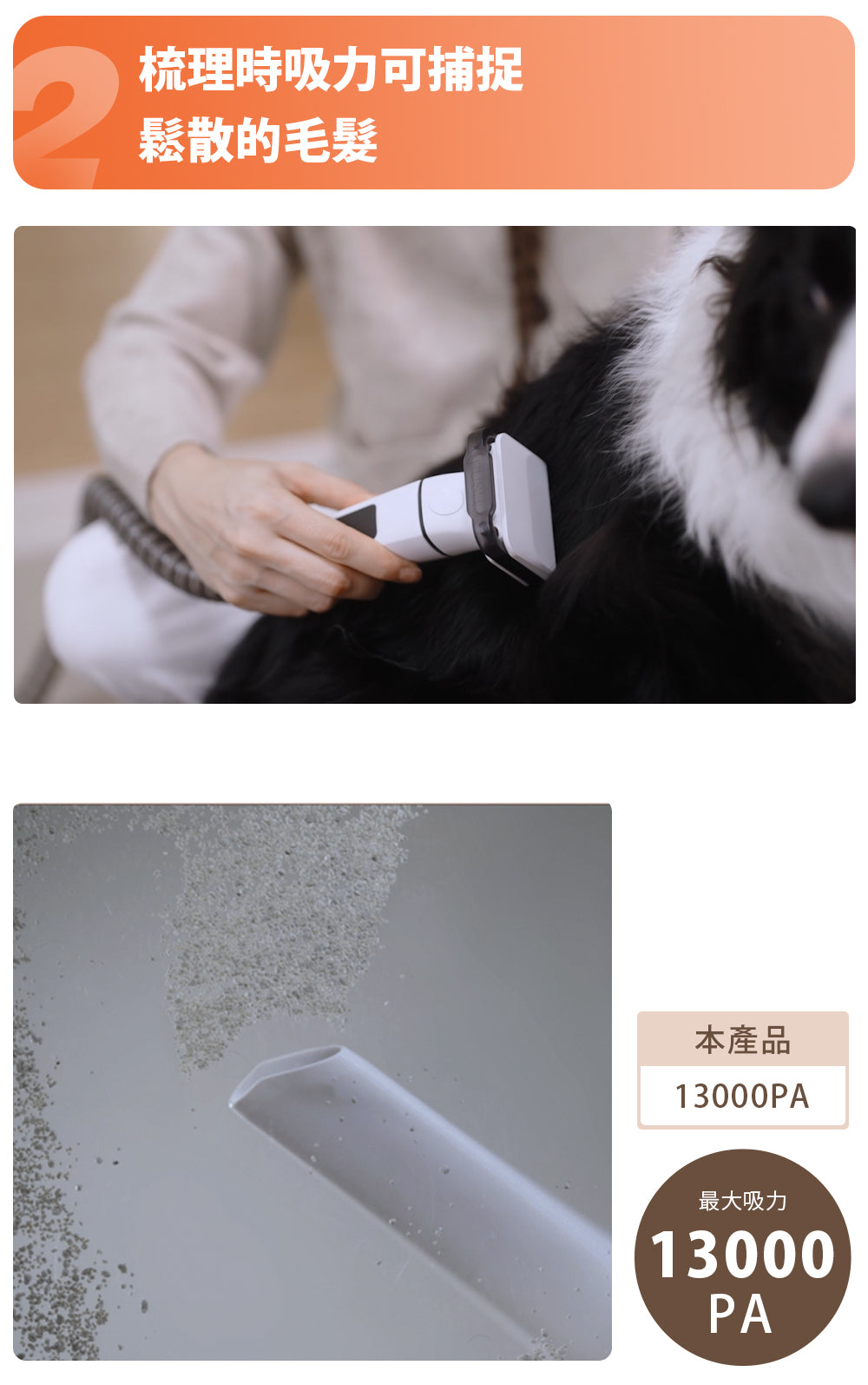 Design Chicken創意購物平台