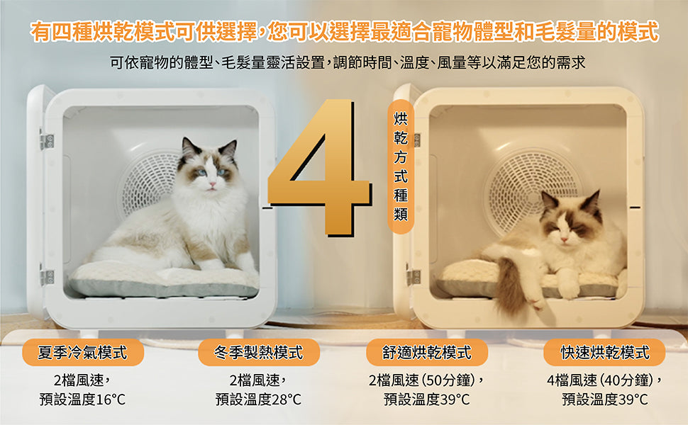 Design Chicken創意購物平台