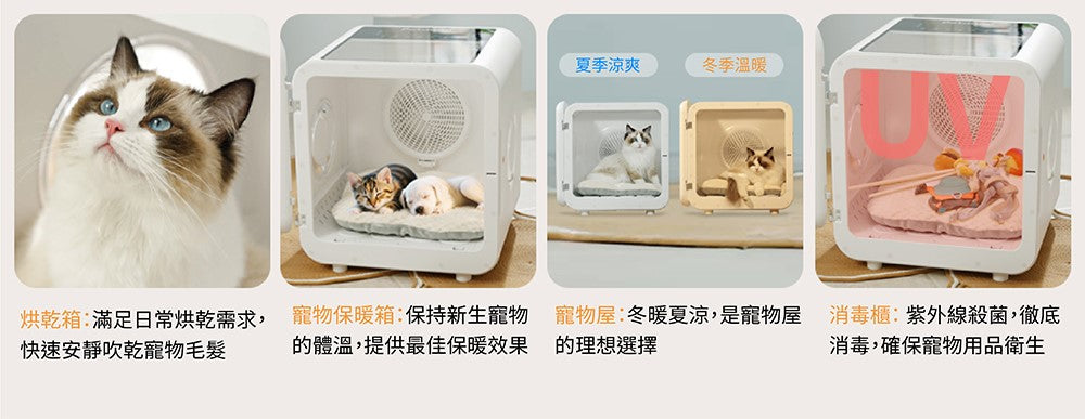 Design Chicken創意購物平台