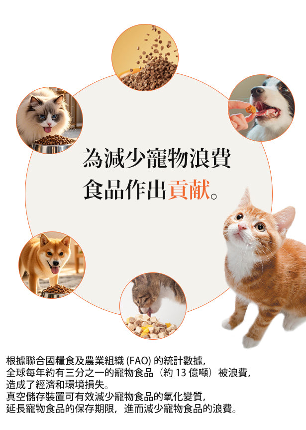 Design Chicken創意購物平台
