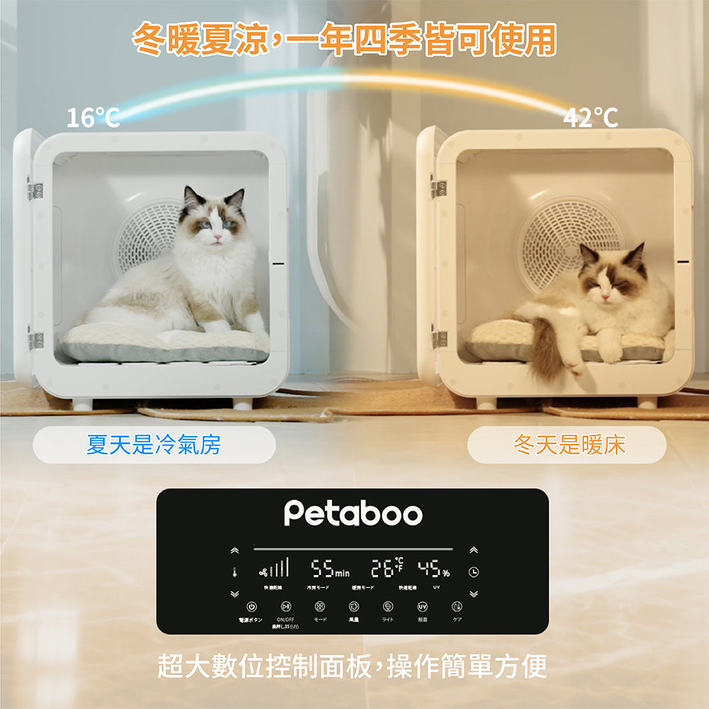 Design Chicken創意購物平台