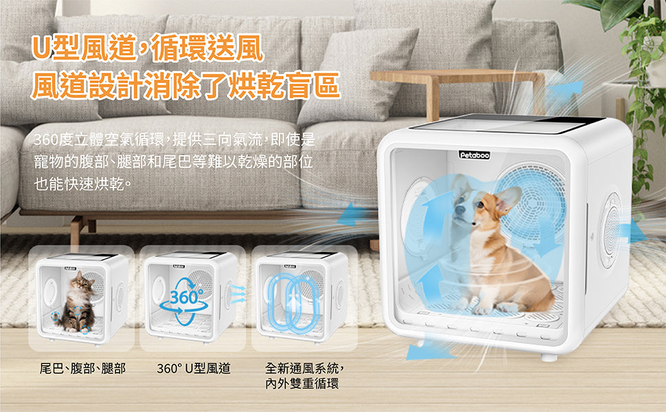 Design Chicken創意購物平台