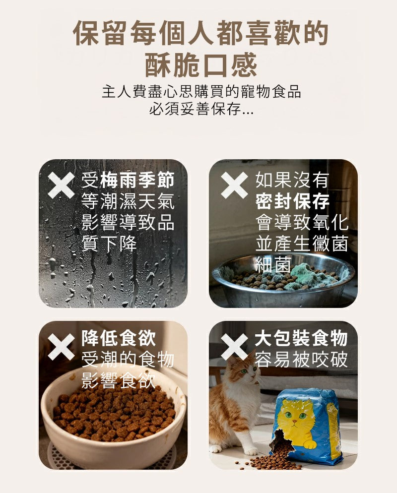 Design Chicken創意購物平台