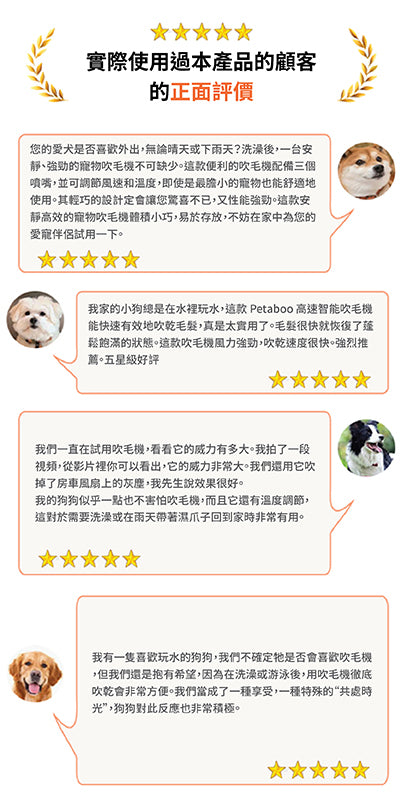 Design Chicken創意購物平台