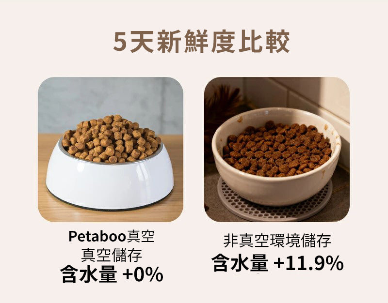 Design Chicken創意購物平台