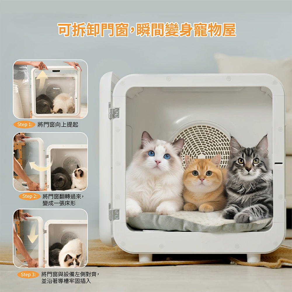 Design Chicken創意購物平台