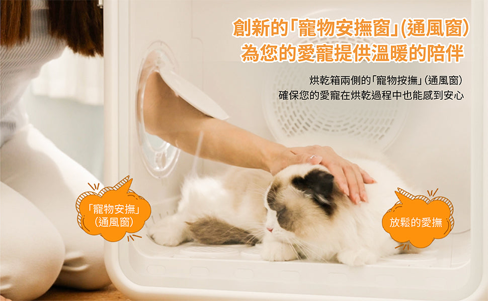 Design Chicken創意購物平台