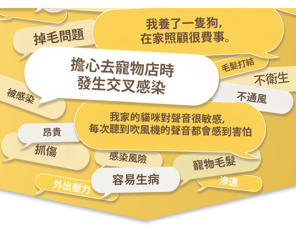 Design Chicken創意購物平台