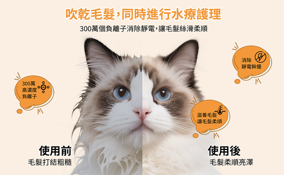 Design Chicken創意購物平台
