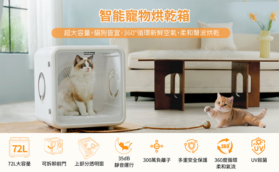 Design Chicken創意購物平台