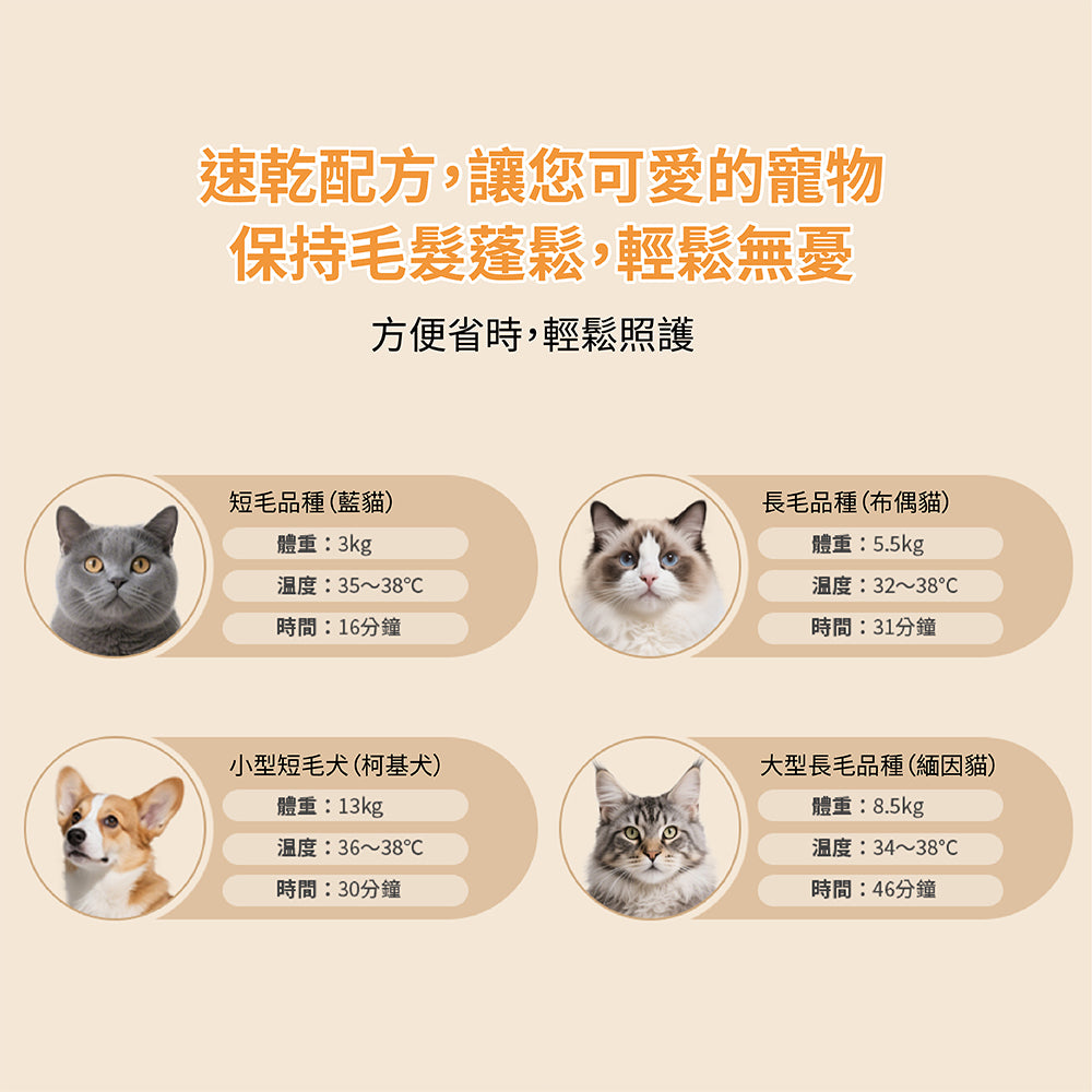 Design Chicken創意購物平台