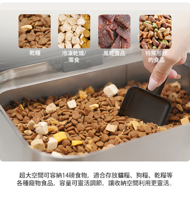 Design Chicken創意購物平台