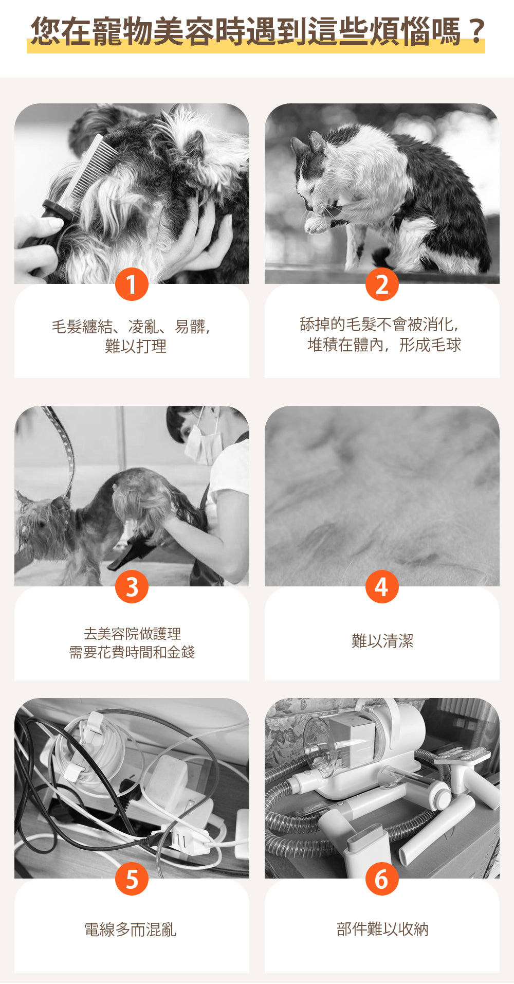 Design Chicken創意購物平台