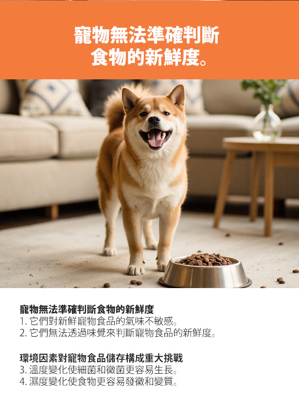 Design Chicken創意購物平台