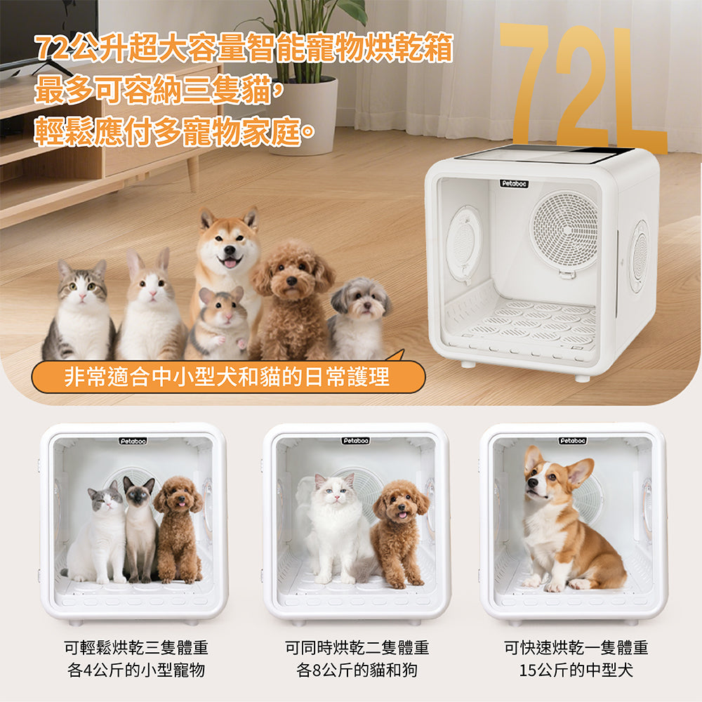 Design Chicken創意購物平台