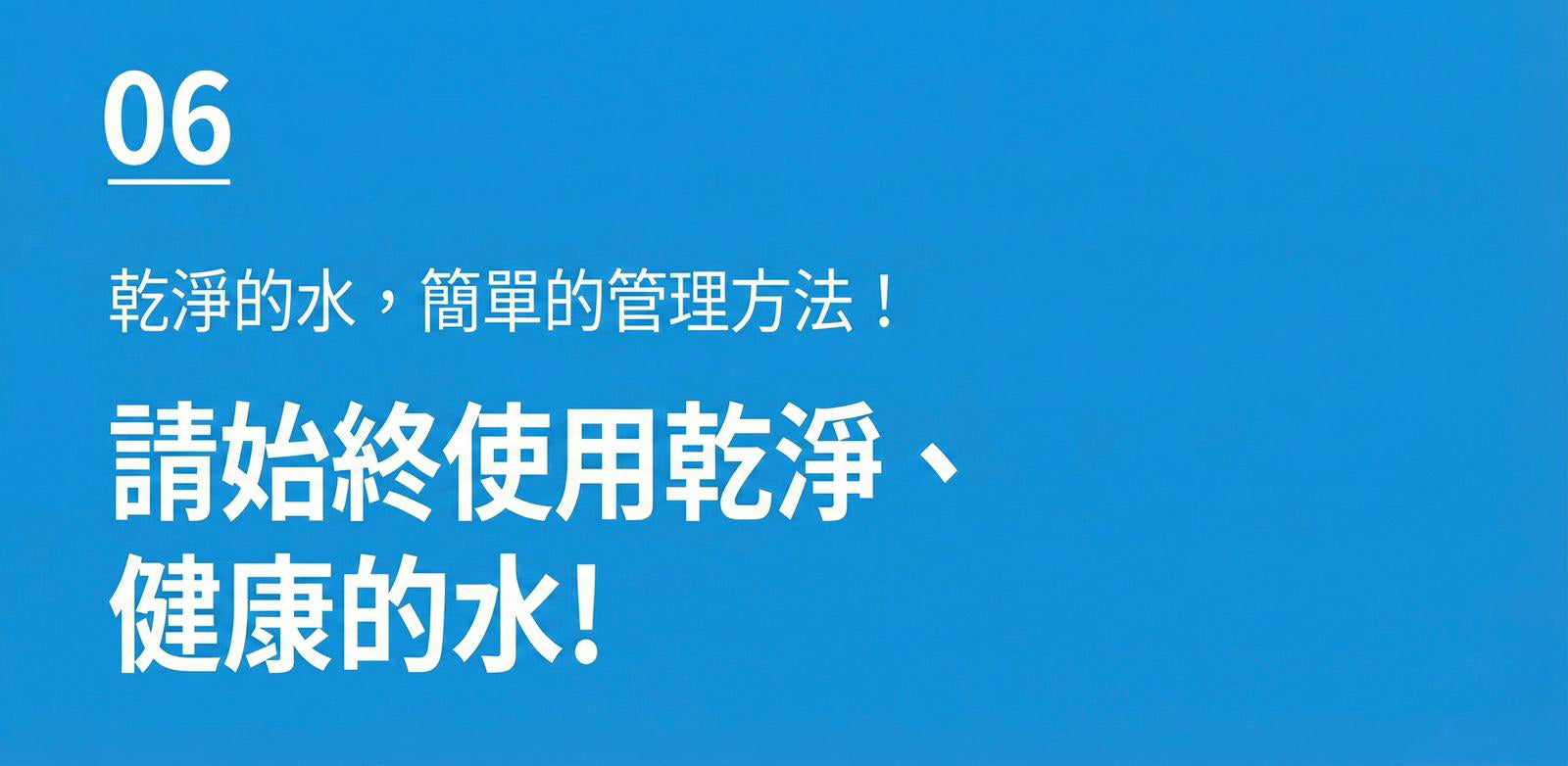 Design Chicken創意購物平台
