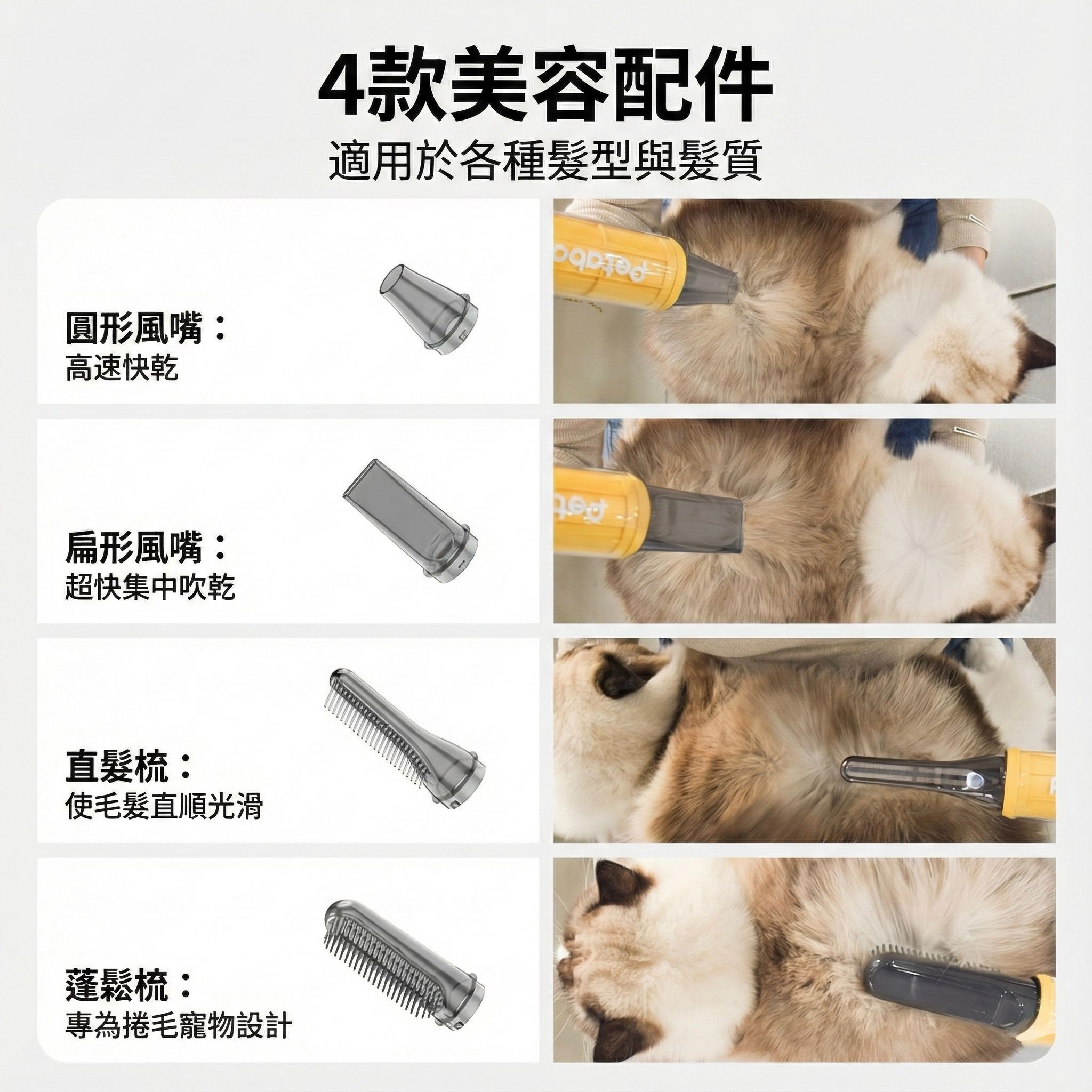 Design Chicken創意購物平台