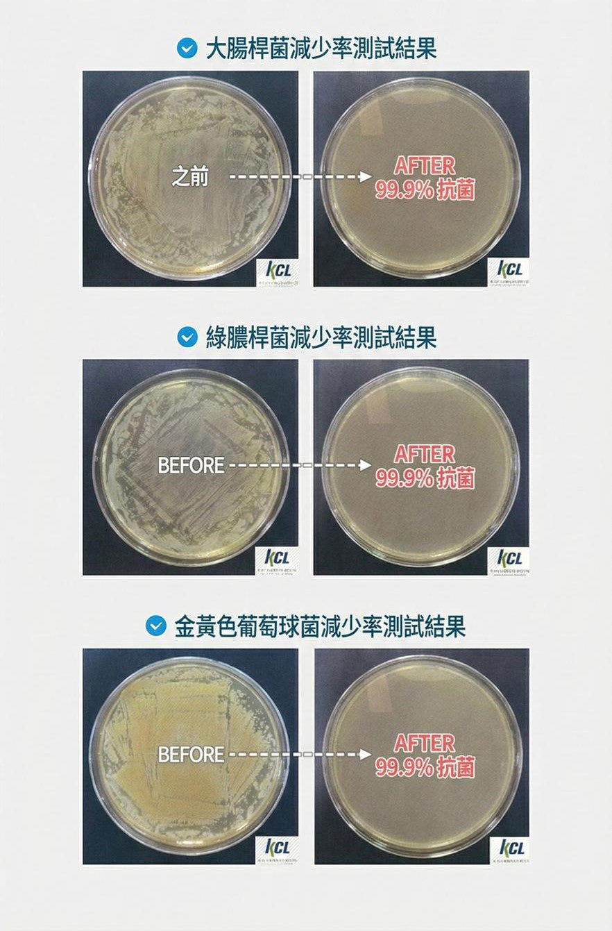 Design Chicken創意購物平台