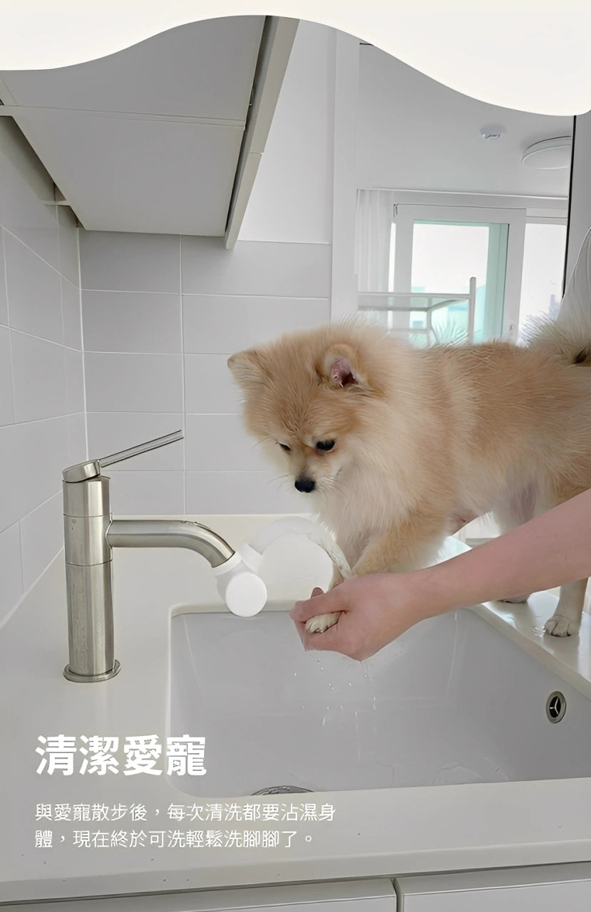 Design Chicken創意購物平台