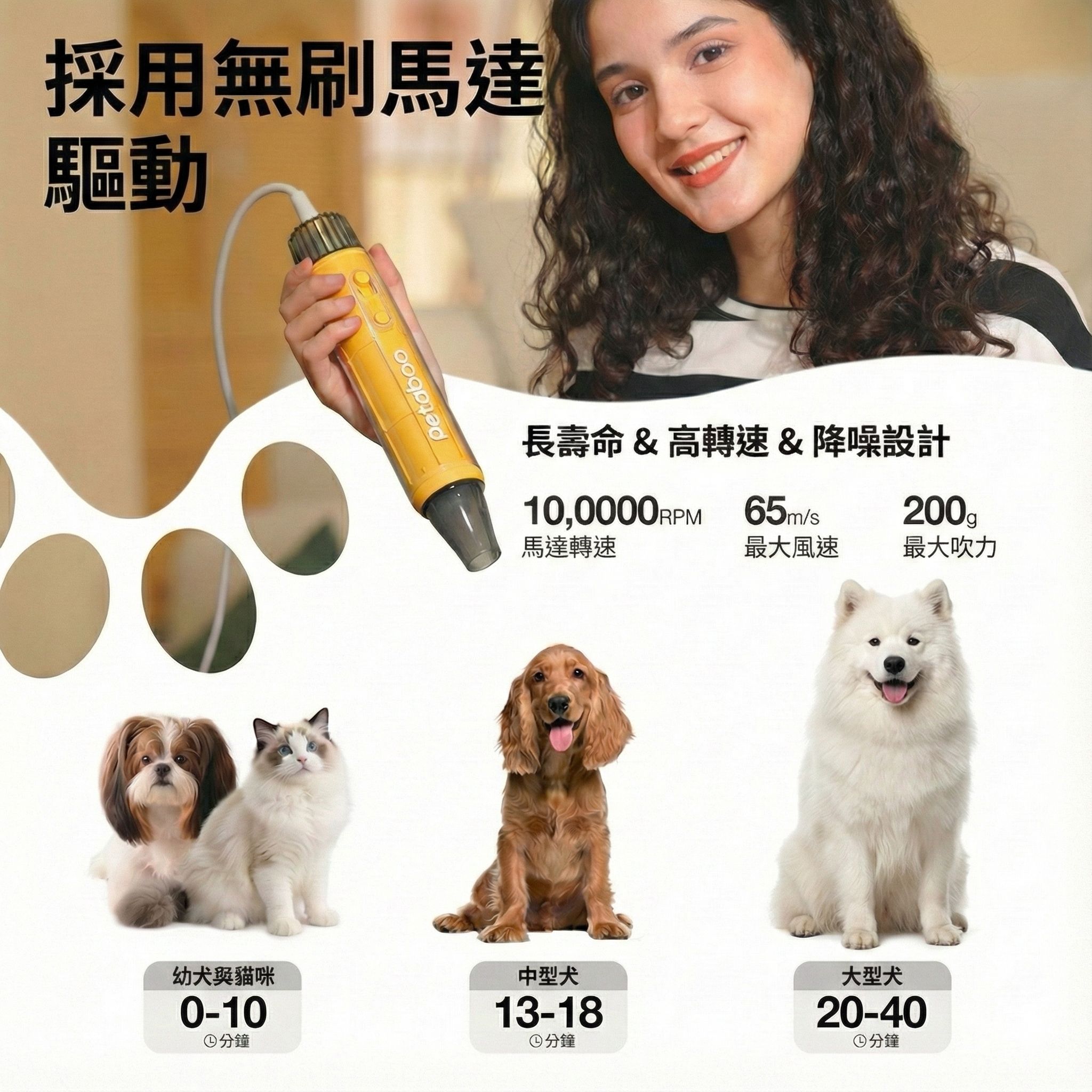 Design Chicken創意購物平台