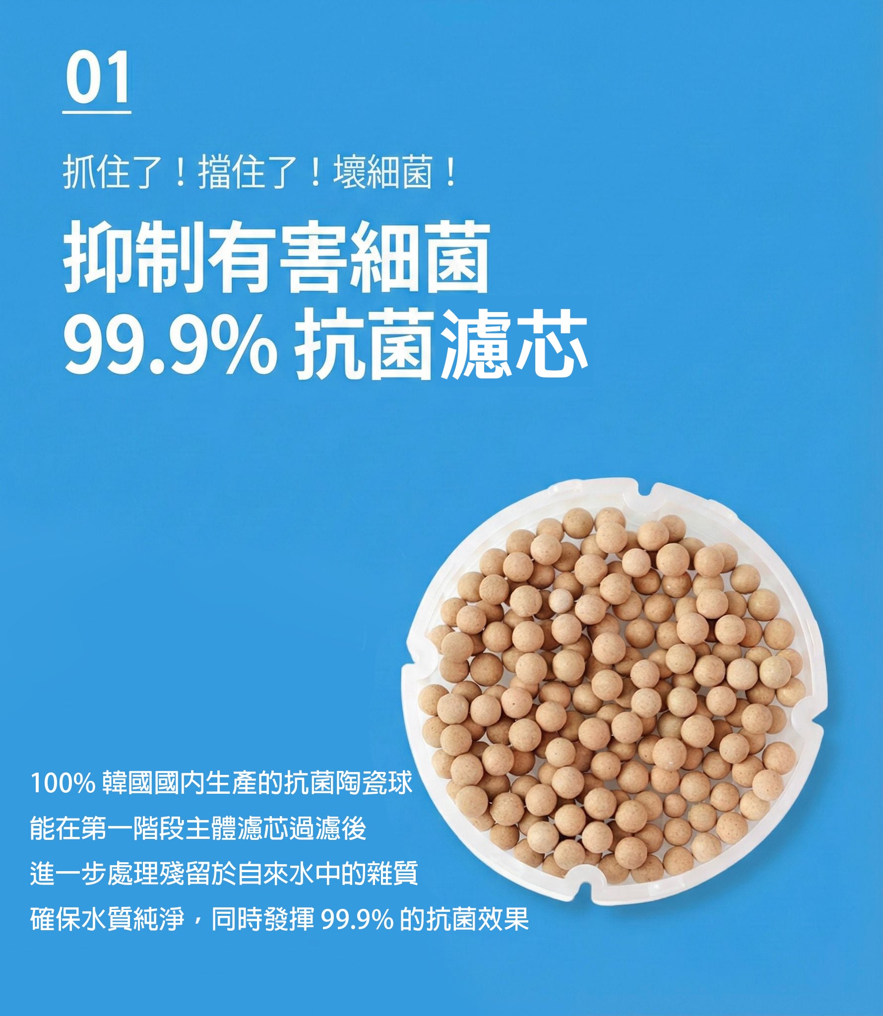 Design Chicken創意購物平台