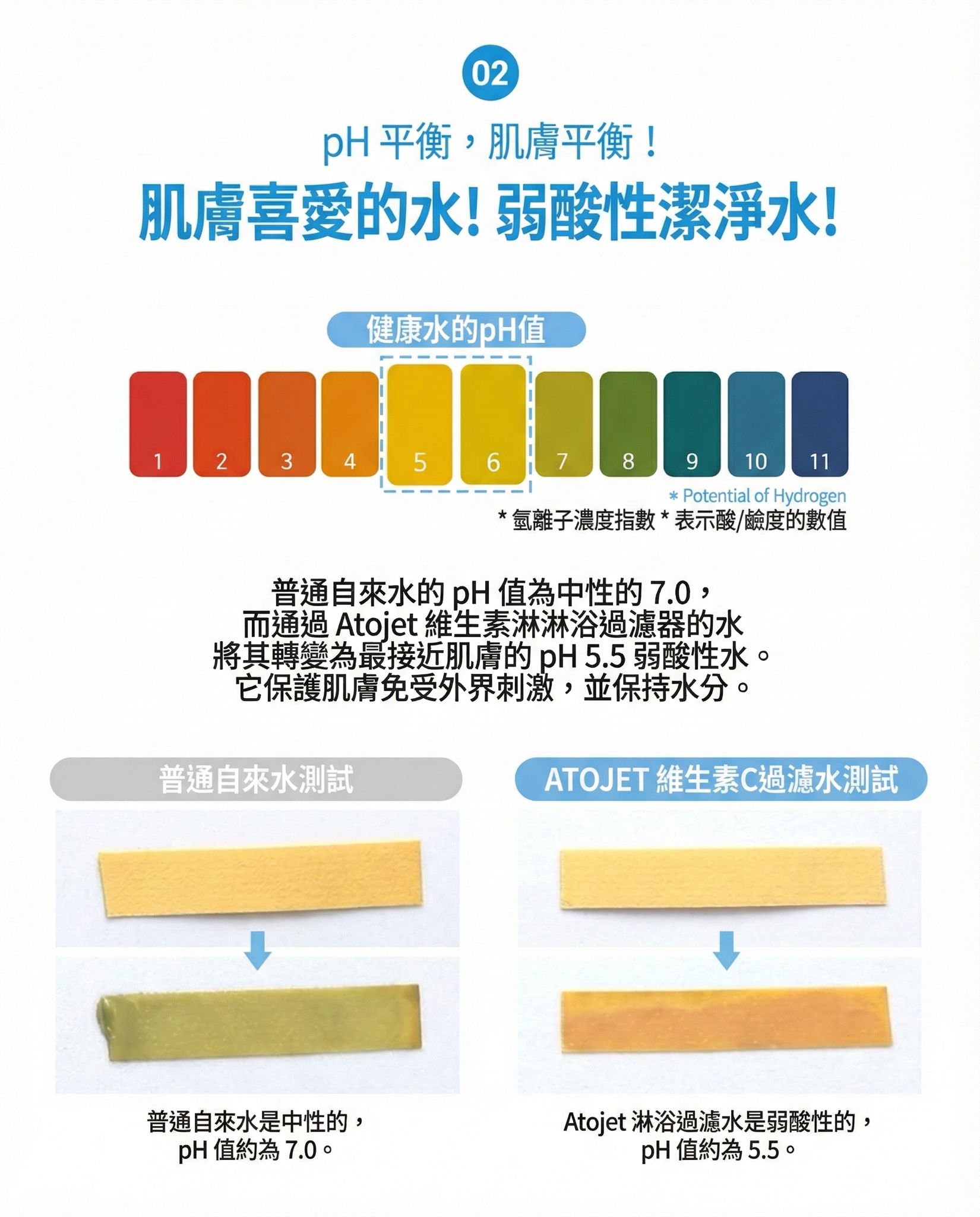 Design Chicken創意購物平台