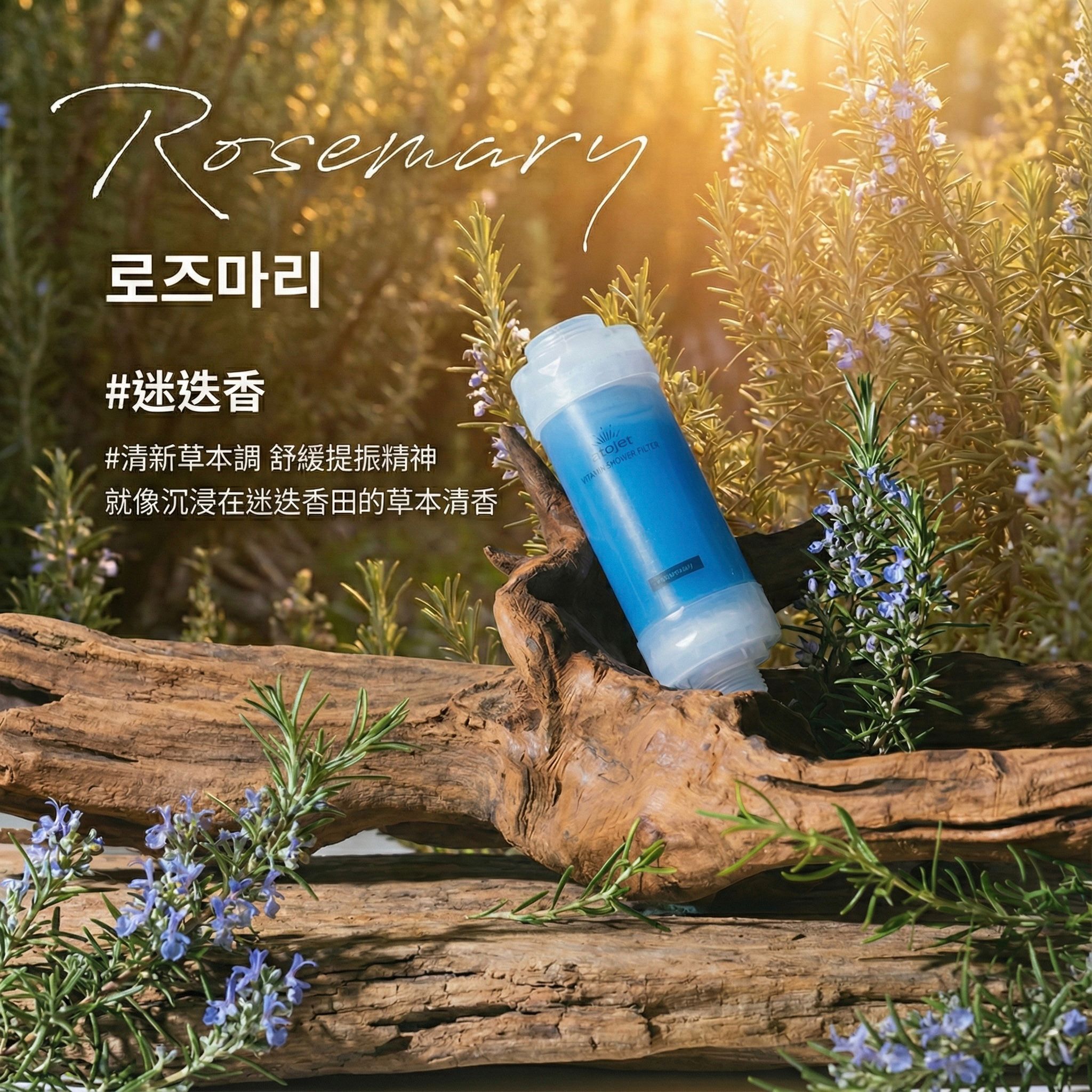 Design Chicken創意購物平台